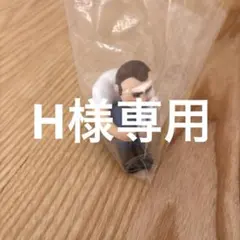 H専用です！他の方の購入はお控えください