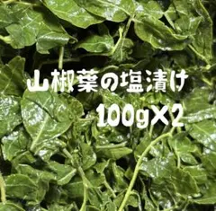 新潟県産　山椒葉の塩漬け100g×2のサムネイル