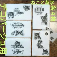 多肉屋モツ⚠️お願い！プロフ必読⚠️様 リクエスト 4点 まとめ商品