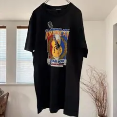 Tシャツ ギター L フルーツ シングルステッチ USA 音楽 グッド プリント