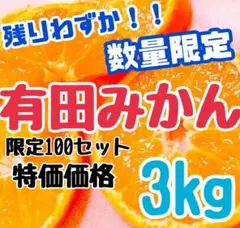 最終時期限定一名様❤️味濃く甘〜いみかん❤️有田みかん❤️3kg❤️3
