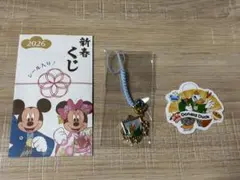 ディズニーストア 新春くじ ドナルド