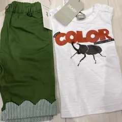 カブトムシプリント Tシャツ とズボンセット　80