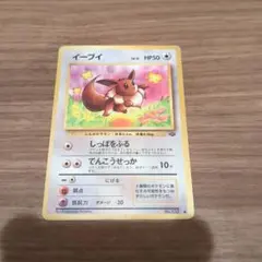 イーブイ ● 第2弾拡張パック ポケモンジャングル