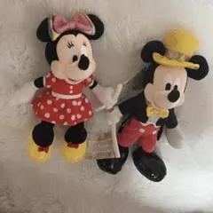ディズニー　ミッキー ミニー ぬいぐるみバッジ バースデー ハピエスト ‪‪❤︎‬