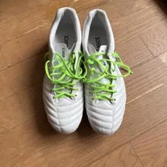 ASICS DS LIGHT X-FLY 4