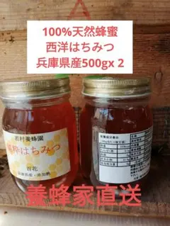国産 純粋 蜂蜜 はちみつ 1.2kg栗蜜 - メルカリ