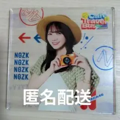 Item thumbnail for item 89ed29b2-4f78-466f-b78f-f31981608764