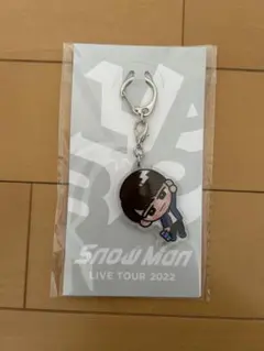 Snow ManLIVETOUR2022 渡辺翔太　すのチルアクリルキーホルダー