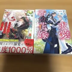 bl小説 アンダルシュノベルズ 2冊セット - メルカリ