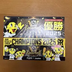 2025年 JERAセントラルリーグチャンピオン クリアファイルセット