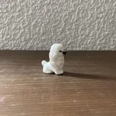 Item thumbnail for item ae266b29-2b3b-47ed-a962-fdac2883d40e