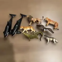 アニア 8体セット