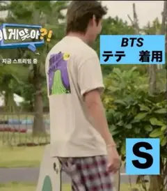 韓国限定 　ノースフェイス　Tシャツ　 BTS テテ着用　V 海外限定  Ｓ