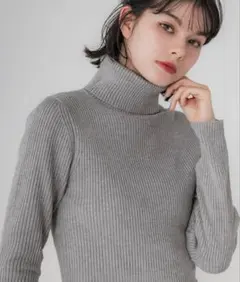 極厚タートルネックリブニット