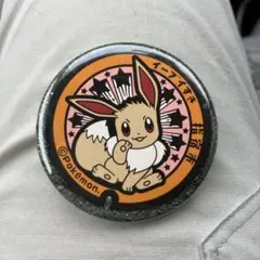 缶バッジ イーブイ イーブイすき 포켓몬 GO ポケふた 指宿 正規品