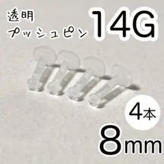 青森りんご(夏期出品控えめです)様 リクエスト 2点 まとめ商品