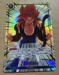 フュージョンワールド リミテッドパック FB09-120 ビッグバンかめはめ