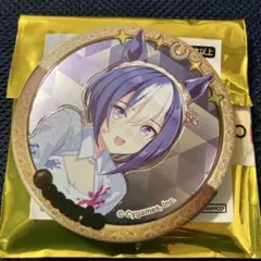 ウマ娘 ゴージャス缶バッジコレクション ペインタースタイル ウイン