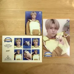 ANIMAZZEL 亞尼瑪澤爾 蘭塞特