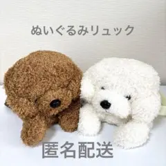 【新品】 いっしょにおでかけ！　トイプー　ぬいぐるみ　リュック