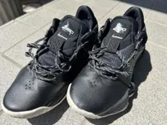 ASICS バスケットボールシューズ ブラック ノヴァサージ　26.0cm