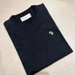 Abercrombie & Fitch ロンT ブラック