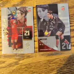 男子バレーボール 日本代表 ツインウエハース 永露元稀 レア　ノーマル