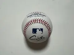 2014年大谷翔平選手投げ入れ直筆サインボール日付入り公認球 2014年大谷翔平選手投げ入れ直筆サインボール日付入り公認球 2025年