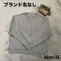 【ブランド名なし】長袖トレーナー（3L）淡いグリーン