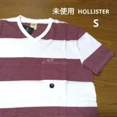 未使用 ホリスター メンズ VネックTシャツ 半袖 Sのサムネイル