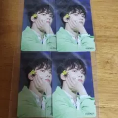 セブチ　バーノン　トレカ