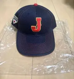 Item thumbnail for item 796a5247-73be-4e45-a226-3450851cbd87