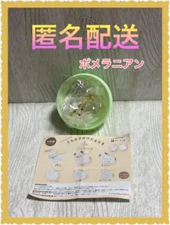 [新品未開封] うちの子のけだまだま(おそらくポメラニアン)
