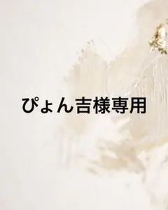 ぴょん吉様専用