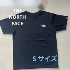 THE NORTH FACE アメリカ国旗 Tシャツ