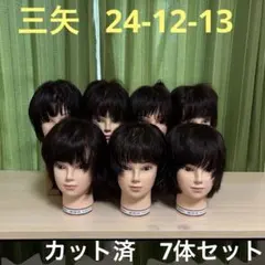2026年最新】カットウィッグ 三矢の人気アイテム - メルカリ