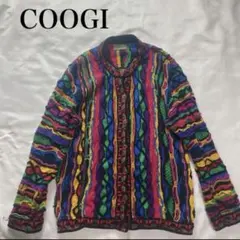 幻の1点モノ】coogi クージー 立体 編込み 3Dニット 即完売モデル