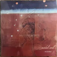 2026年最新】NUJABES modal soul レコードの人気アイテム - メルカリ