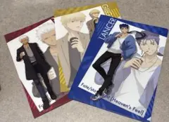 fate stay night Heaven's Feel クリアファイル