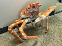 ネイチャーテクニカラー タカアシガニ フィギュア 海遊館ミュージアム 奇譚クラブ ネイチャーテクニカラー タカアシガニ フィギュア 海遊館