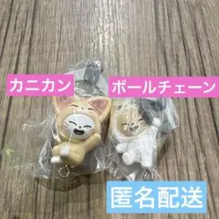 SKZOOつまんでつなげてますこっとvol.2 ジニレットフォクシニー