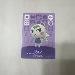 ら*り様 あつ森 amiiboカード ジュン 264