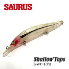 2026年最新】SAURUS 釣種：ルアー ミノー・プラグの人気アイテム