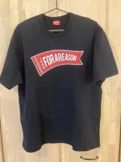FOR A REASON Tシャツ M フラッグ 1999