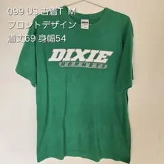 099 GILDAN グリーン Tシャツ M DIXIE HORNETS M