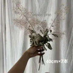 スモークツリー ドライフラワー 花材 スワッグ インテリア 枝もの　7本