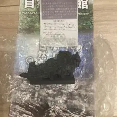 和歌山県立自然博物館　限定　ワカヤマソウリュウ　前肢化石産状レプリカミニver①