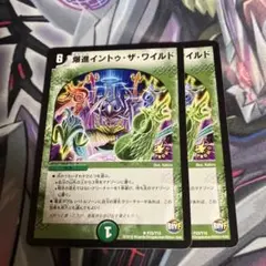 爆進イントゥザワイルド　プロモ　2枚セット