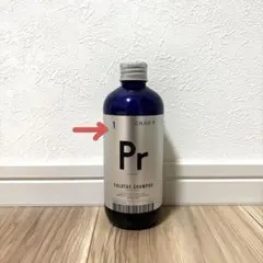 Item thumbnail for item 6e71c832-3390-49c1-925e-06c8a9c6af8c